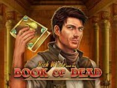 Игровой автомат Book of Dead (Книга Мертвых) ✨ играть бесплатно онлайн в казино Вулкан Platinum